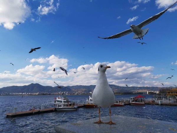 盈通配资 浙江鼓励发放结婚消费券 越来越多地方结婚“有奖”