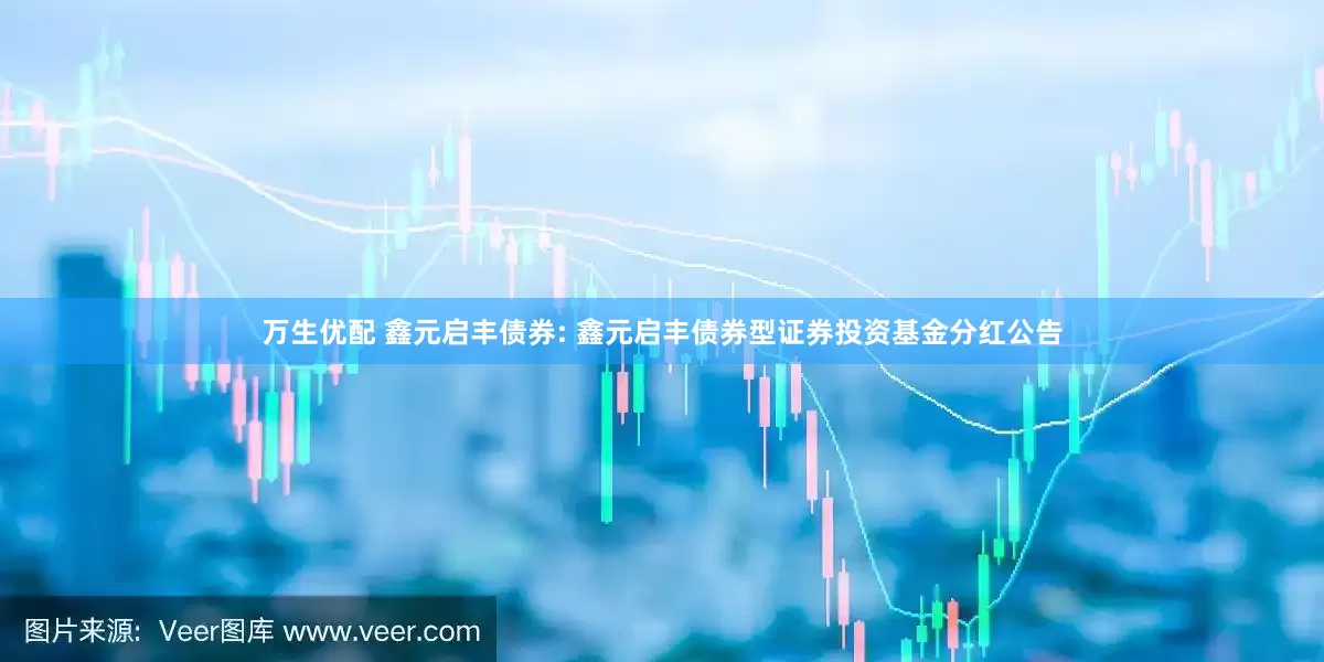 万生优配 鑫元启丰债券: 鑫元启丰债券型证券投资基金分红公告
